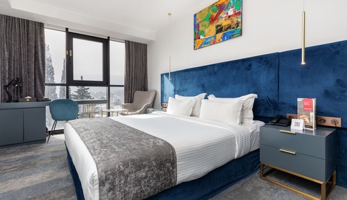 Habitación estándar, 1 cama de matrimonio grande, no fumadores