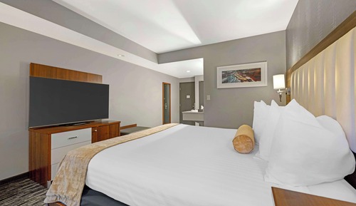 Habitación estándar, 1 cama de matrimonio grande, no fumadores (Walk-in Shower)