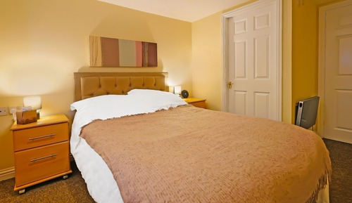 Habitación individual estándar, 1 cama individual