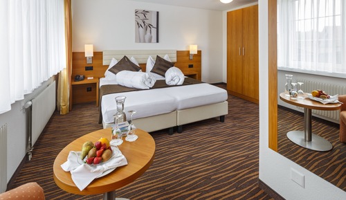 Habitación doble, vistas al parque