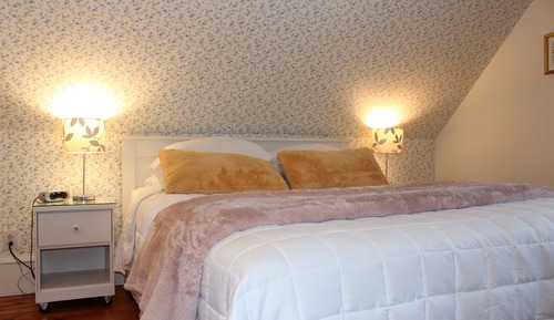 Habitación clásica, 1 cama de matrimonio, vistas a la ciudad (Joyeuse)