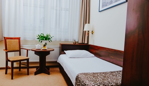 Habitación individual estándar, 1 cama individual