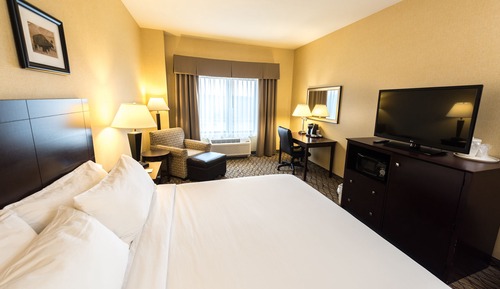 Habitación estándar, 1 cama de matrimonio grande, no fumadores