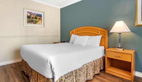 Habitación estándar, 1 cama de matrimonio, no fumadores