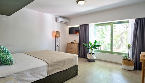 Suite estándar