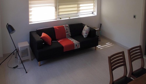 Room (Zelkova Tree Daylily Flower (Double F)