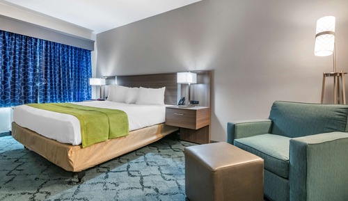 Habitación estándar, 1 cama de matrimonio grande, accesible para personas con discapacidad