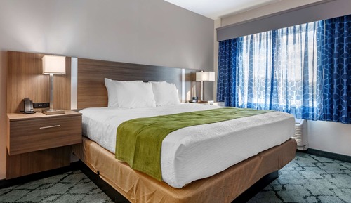 Habitación estándar, 1 cama de matrimonio grande, no fumadores, frigorífico y microondas