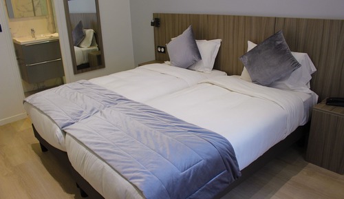Habitación Deluxe con 2 camas individuales, 2 camas individuales, no fumadores, vistas al patio