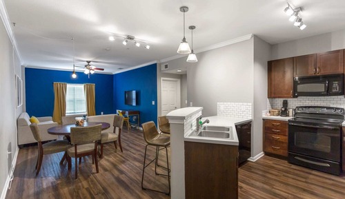 Comfort Apartment (1 Bedroom)