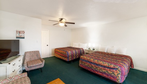 Suite estudio familiar, patio