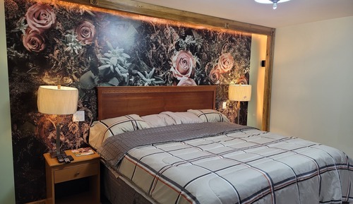 Habitación básica, 1 cama de matrimonio grande