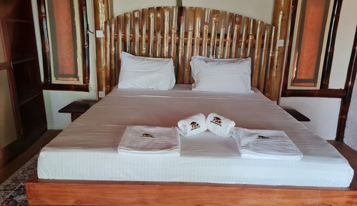 Habitación de lujo con 1 cama doble o 2 individuales