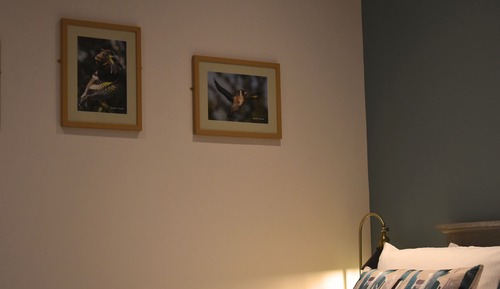 Habitación doble, baño privado (Rowan)