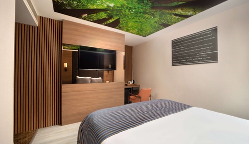 Habitación estándar, 1 cama doble, no fumadores