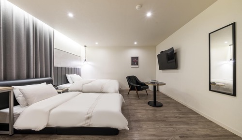 Room (Premium twin (cancellation not possib)