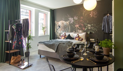 Suite estudio Confort