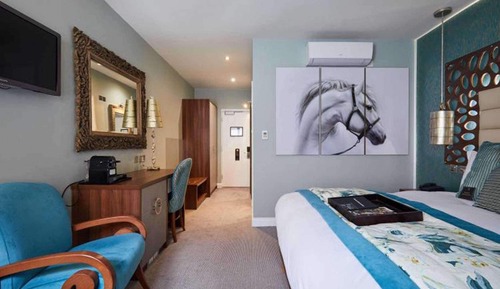 Habitación Deluxe, 1 cama doble, no fumadores