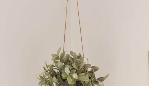 Habitación básica con 2 camas individuales, vistas al canal