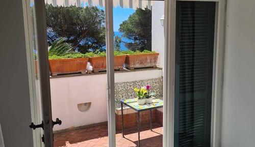 Suite estudio junior, vistas al jardín