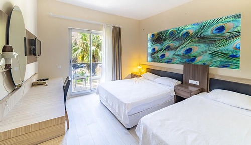 Habitación estándar, vistas al jardín