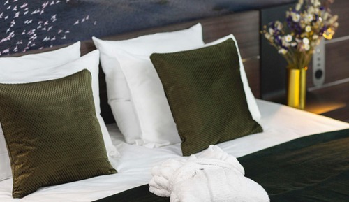 Suite junior, 1 cama doble con sofá cama