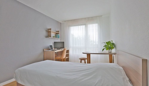 Habitación estándar doble