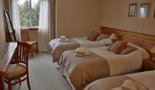 Habitación triple estándar