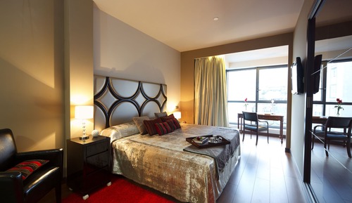 Habitación estándar con 1 cama doble o 2 individuales