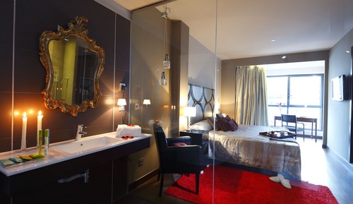 Habitación Deluxe doble de uso individual