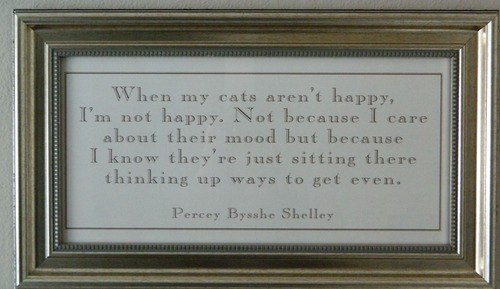 Habitación estándar doble (Shelley)
