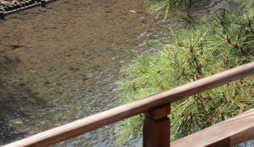 1 futón, vistas al río, No fumadores
