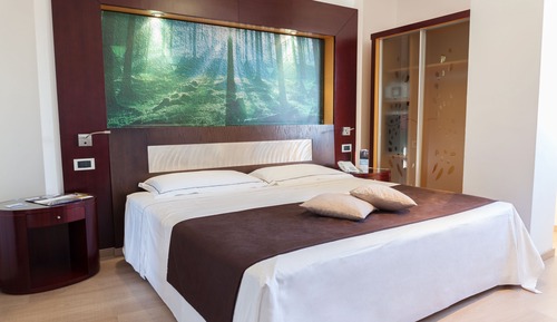 Habitación estándar, 1 cama doble