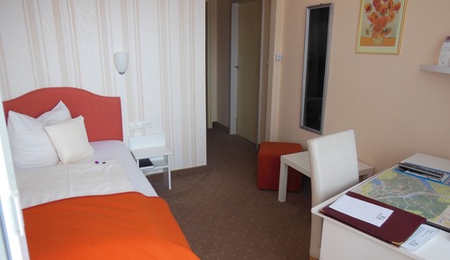 Habitación individual básica, vistas a la montaña (16-18 sqm)