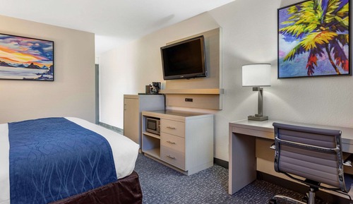 Habitación estándar, 1 cama de matrimonio grande, no fumadores