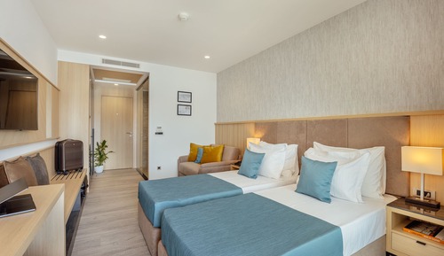 Habitación Deluxe con 1 cama doble o 2 individuales