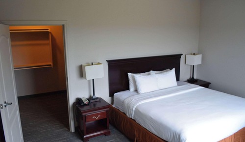 Suite Premium, 1 habitación, no fumadores (1 King Bed with Sofabed)