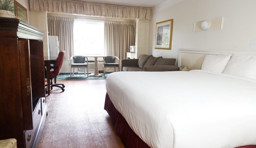 Habitación estándar, 1 cama de matrimonio grande