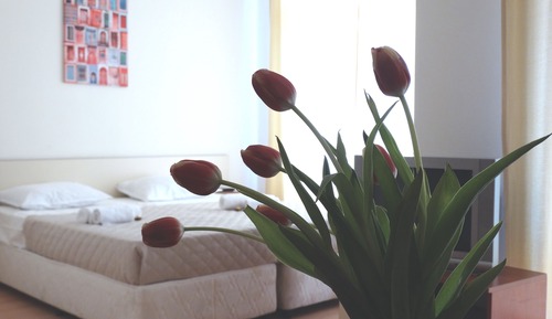 Estudio estándar, balcón