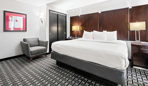 Suite estudio, 1 cama de matrimonio grande con sofá cama, accesible para personas con discapacidad