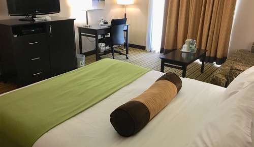 Habitación estándar, 1 cama de matrimonio, no fumadores, frigorífico (with Sofabed)
