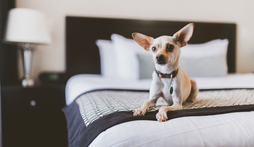 Habitación superior, 1 cama de matrimonio