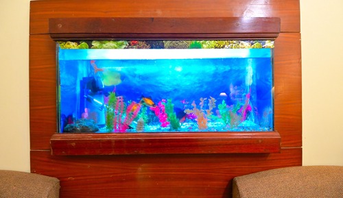 Deluxe Room with Fish Aquarium