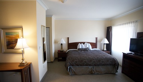 Suite estudio, 1 cama de matrimonio con sofá cama, cocina