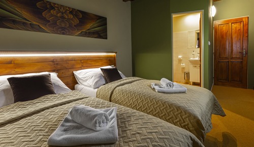 Habitación estándar con 2 camas individuales