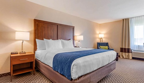 Habitación estándar, 1 cama de matrimonio grande, no fumadores