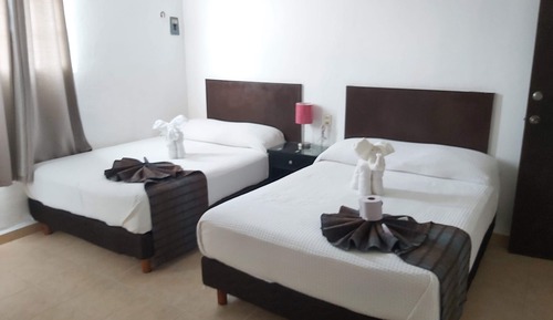 Executive Quadruple Suite