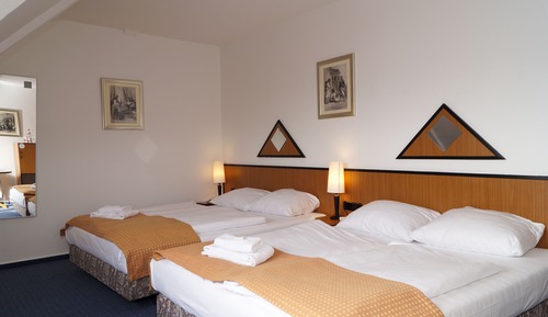 Habitación estándar con 2 camas individuales