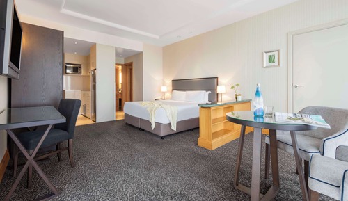 Studio (Apartment) (No Housekeeping)