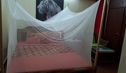 Habitación cuádruple